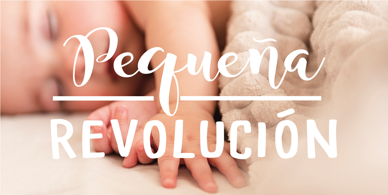 Pequeña revolución